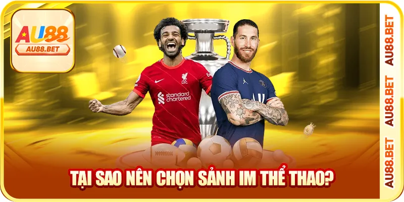 Tại sao nên chọn sảnh im thể thao?