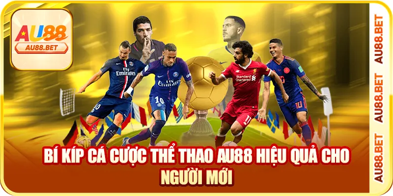 Bí kíp cá cược thể thao AU88 hiệu quả cho người mới