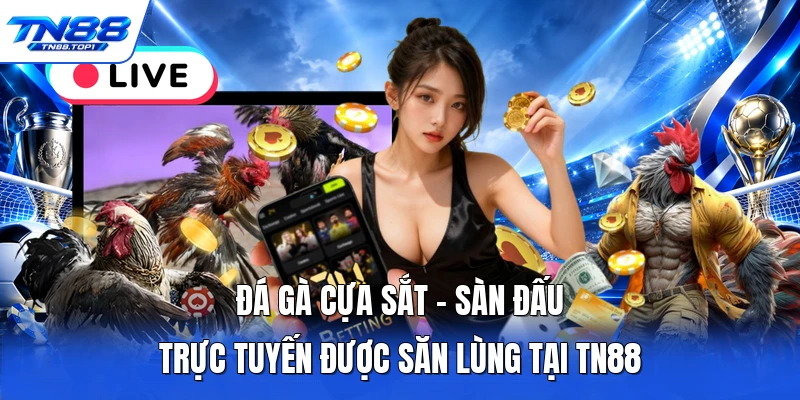 Đá Gà Cựa Sắt - Sàn Đấu Trực Tuyến Được Săn Lùng Tại TN88