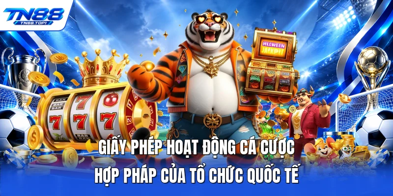 Giấy phép hoạt động cá cược hợp pháp của tổ chức quốc tế